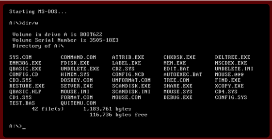 MS-DOS interface